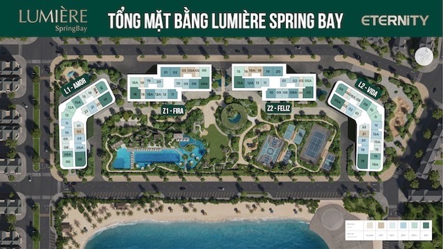 toa-fira-lumiere-springbay-eternity-group